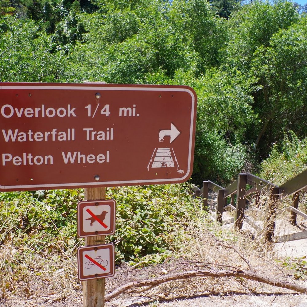 Julia Pfeiffer Burns State Park - (June 2014) - Parks Near Me - Big Sur, California