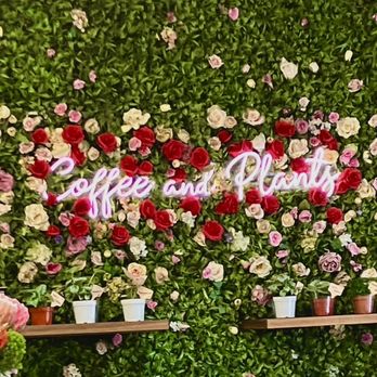Coffee and Plants - Decor - Coffee & Tea Near Me - Pasadena, California