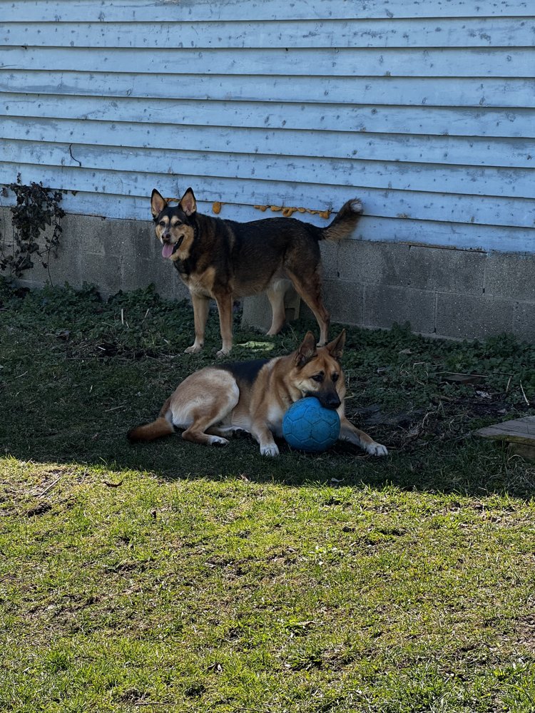 GRAY’S APPLIANCE Updated September 2024 71 Reviews 945 Main St, Melrose, Massachusetts