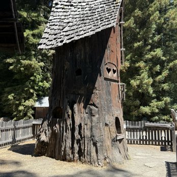 1. Avenue Of The Giants