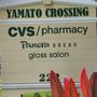 Photo of Yamato Crossing