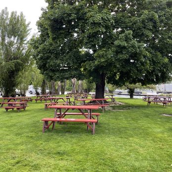 Pick-Quick Drive In - Outdoor seating with a nice shady tree! - Burgers Near Me - Fife, Washington Pick-Quick Drive In - Outdoor seating with a nice shady tree! - Burgers Near Me - Fife, Washington