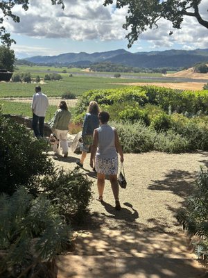 Gargiulo Vineyards by null