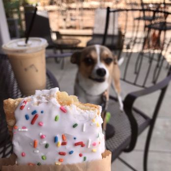 Café Equinox - Hanging on the patio with a strawberry poptart, iced latte, and Leo - Home & Garden Near Me - Shawnee, Kansas Café Equinox - Hanging on the patio with a strawberry poptart, iced latte, and Leo - Home & Garden Near Me - Shawnee, Kansas