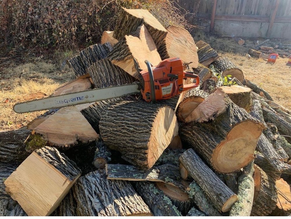 Sunny tree service  - tree service in Sacramento , CA