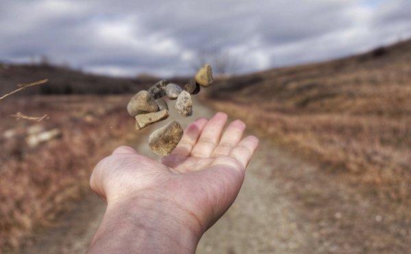 Nose Hill Park by null