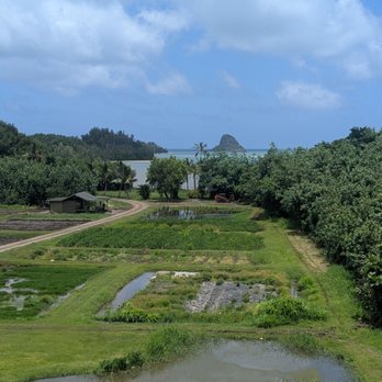 Kualoa Ranch - Tours Near Me - Kaneohe, Hawaii Kualoa Ranch - Tours Near Me - Kaneohe, Hawaii