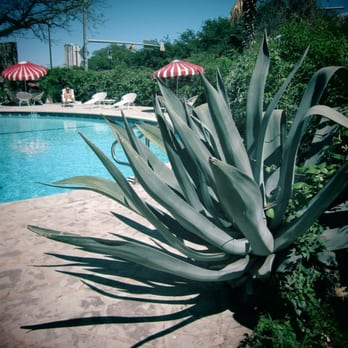 Austin Motel - Poolside - Hotels Near Me - Austin, Texas Austin Motel - Poolside - Hotels Near Me - Austin, Texas