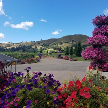 Kirigin Cellars - Wineries Near Me - Gilroy, California