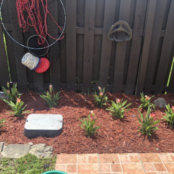 Spraypro - Flowers - Pest Control Near Me Spraypro - Flowers - Pest Control Near Me