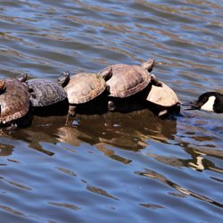 Kissena Park - Get off!