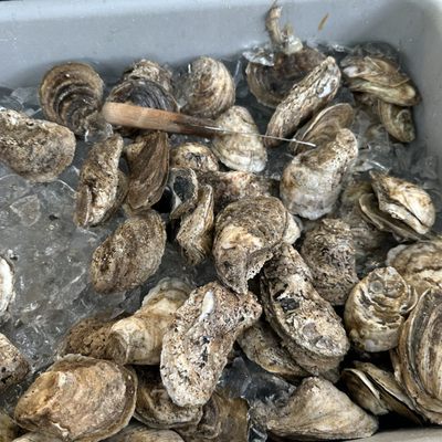 Randazzo's Seafood by null Randazzo's Seafood by null