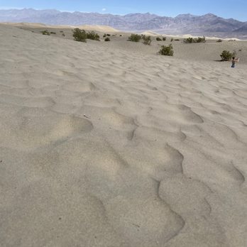 Mesquite Flat Dunes - Sandy sand sand sand - Parks Near Me