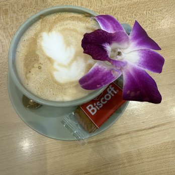 Egg Posh - Latte - Breakfast & Brunch Near Me - Frisco, Texas Egg Posh - Latte - Breakfast & Brunch Near Me - Frisco, Texas