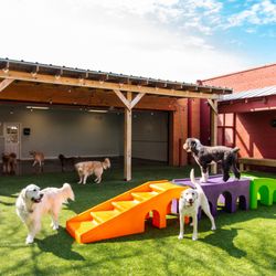 Barking Hound Village-Central