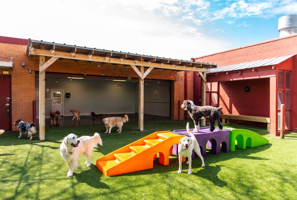 Barking Hound Village-Central - pet boarding facility in Dallas, TX