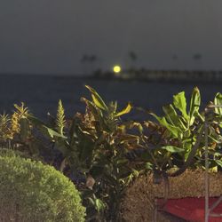 Sunset Ocean View