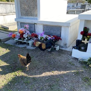 Key West Cemetery - Funeral Services & Cemeteries Near Me - Key West, Florida Key West Cemetery - Funeral Services & Cemeteries Near Me - Key West, Florida