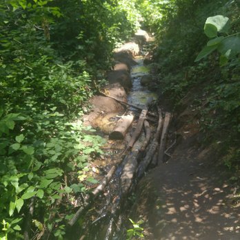 Feather Falls Trail - Small creek running through/down the lower portion of the loop (6/24/17) - Hiking Near Me Feather Falls Trail - Small creek running through/down the lower portion of the loop (6/24/17) - Hiking Near Me
