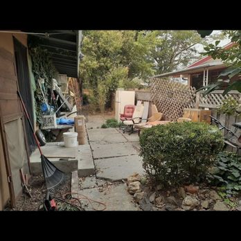 Willy's Tree Service - Before - Tree Services Near Me Willy's Tree Service - Before - Tree Services Near Me