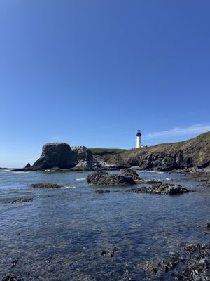 Yaquina Head Lighthouse by null