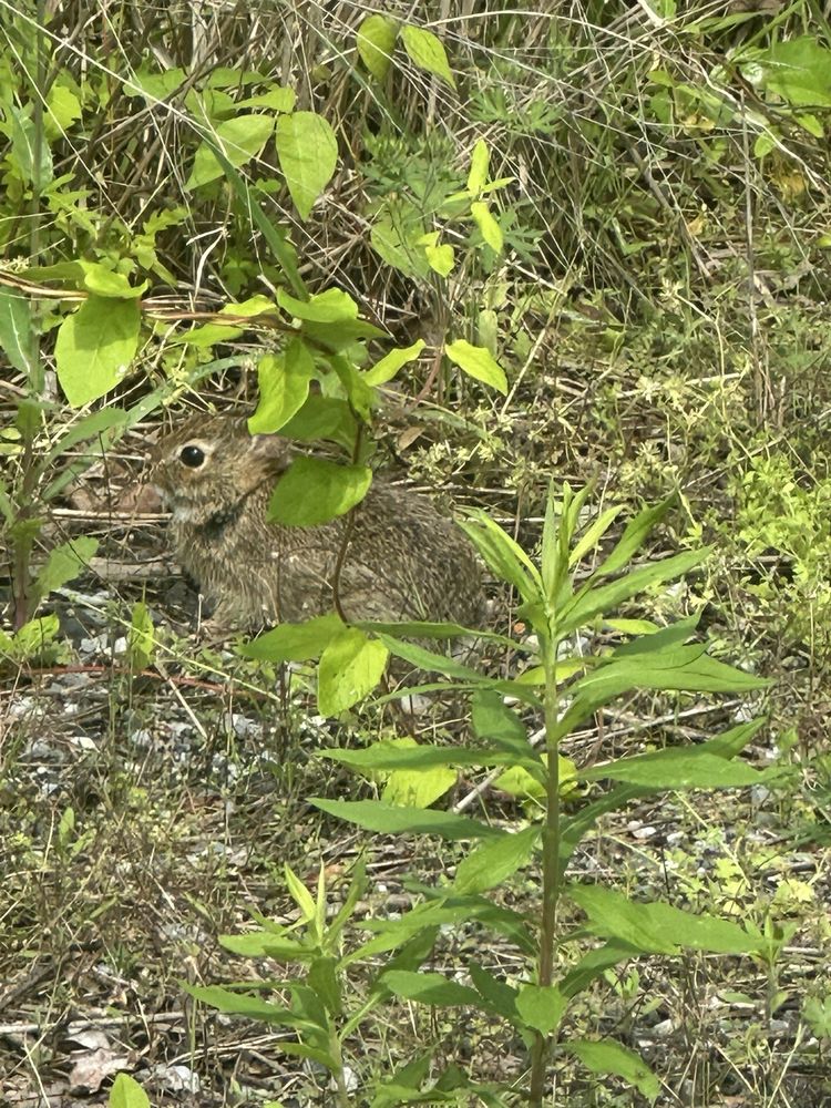 Prime Hook National Wildlife Refuge Image