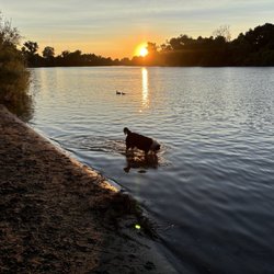 Sutter's Landing River Access - Roxi exploring!