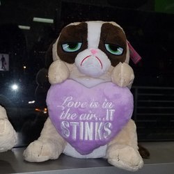 CVS - Funny Valentine's day teddy bears