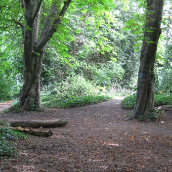 The Iveagh Gardens - Parks Near Me - Dublin, D