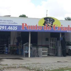 Ponto do Criador