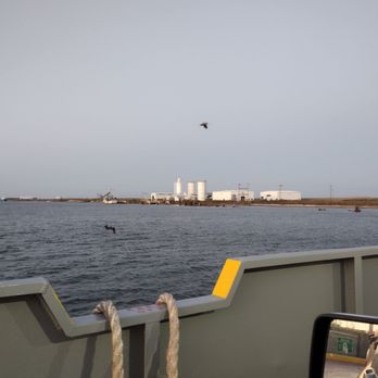 Cameron Ferry - pelican off the starboard bow - Transportation Near Me Cameron Ferry - pelican off the starboard bow - Transportation Near Me