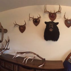 Dan's Headhunter Taxidermy - Check out the new addition on the left.