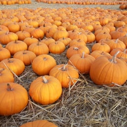 Great selection with one week until Halloween. Great selection with one week until Halloween.