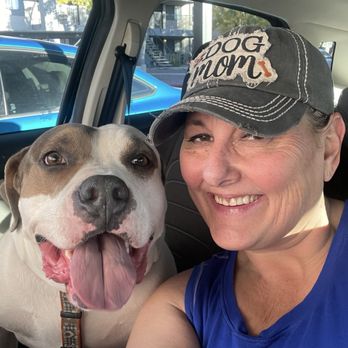 Cimarron Animal Hospital - Charlie saved me from the Worst time in my life until I lost him in 2024. - Veterinarians Near Me - Tucson, Arizona Cimarron Animal Hospital - Charlie saved me from the Worst time in my life until I lost him in 2024. - Veterinarians Near Me - Tucson, Arizona