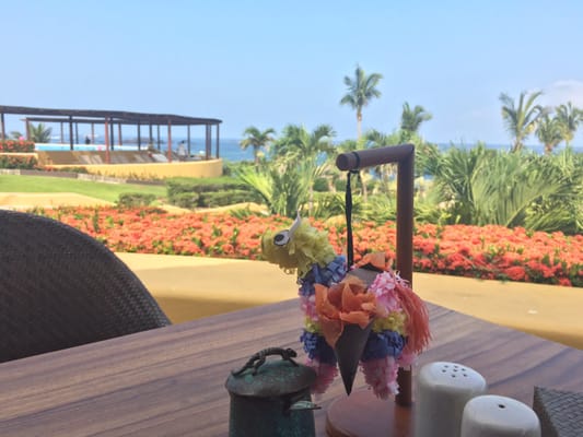 Four Seasons Resort Punta Mita by null