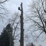 Photo of Reach For The Sky Tree Service