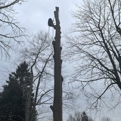 Reach For The Sky Tree Service - 24/7 emergency calls