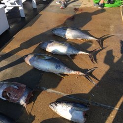 Virginia Beach Fishing Center