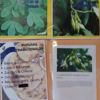 El Sabor de Mercedes - They use Loroco flowers here which are high in Vitamin A too. - Mexican Near Me - Sunnyvale, California El Sabor de Mercedes - They use Loroco flowers here which are high in Vitamin A too. - Mexican Near Me - Sunnyvale, California