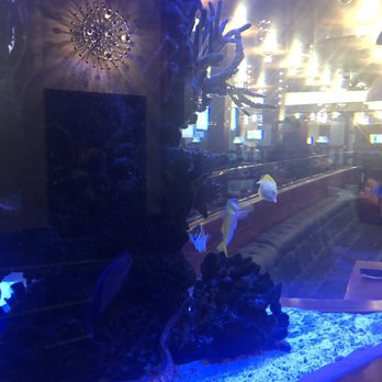 Seven Mile Casino - More fishies - Casinos Near Me - Chula Vista, California Seven Mile Casino - More fishies - Casinos Near Me - Chula Vista, California