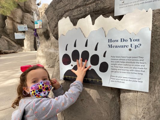 ABQ BioPark Zoo by null