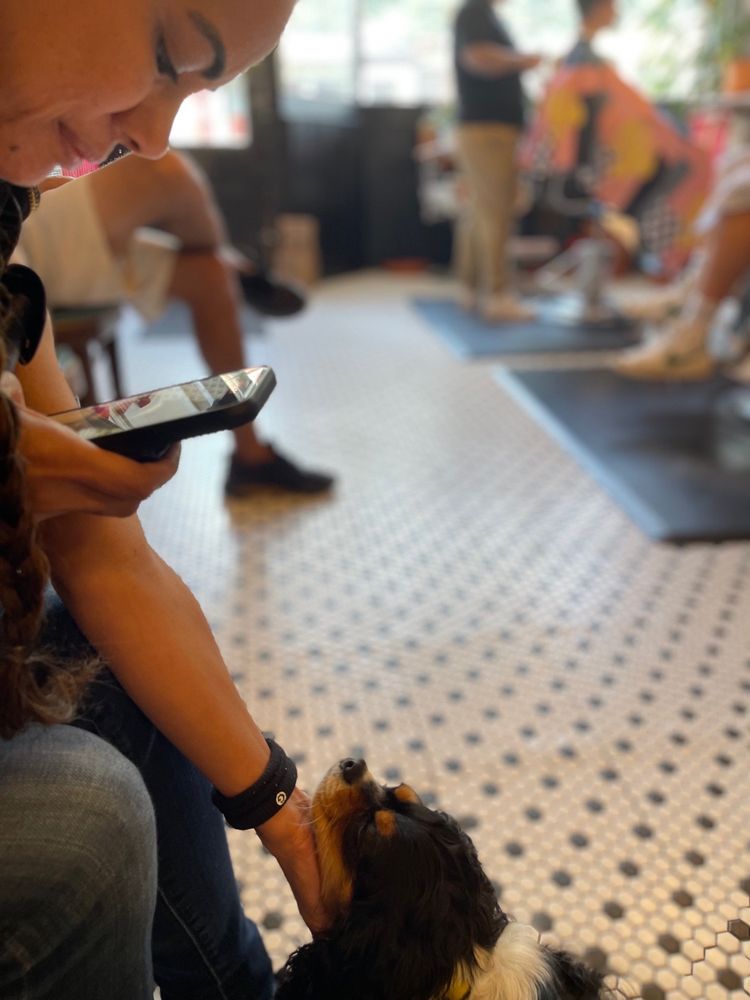 HASTINGS BARBER SHOP 41 Reviews 1270 Queen Street E, Toronto