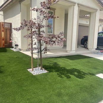 Bella Vista Landscape - Turf and new tree in the front yard - Landscaping Near Me