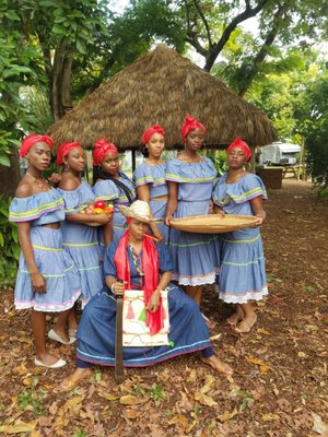 Tap Tap Tours & Transportation LLC by null