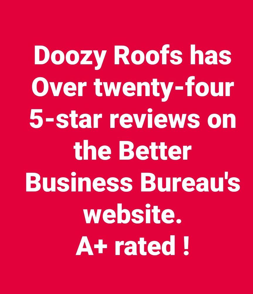 Slide of Doozy Roofs