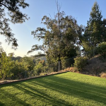 The Turf Guy - After - Artificial Turf Near Me - Santa Monica, California The Turf Guy - After - Artificial Turf Near Me - Santa Monica, California