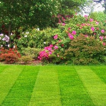 Lawn Masters - a green lawn with lots of flowers - Landscaping Near Me - Littleton, Colorado Lawn Masters - a green lawn with lots of flowers - Landscaping Near Me - Littleton, Colorado