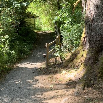 Bogachiel State Park - path to restroom (with warm water showers) opposite site #34 - Parks Near Me - Forks, Washington Bogachiel State Park - path to restroom (with warm water showers) opposite site #34 - Parks Near Me - Forks, Washington