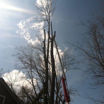 White Hills Tree Removal - Tree Services Near Me - Shelton, Connecticut White Hills Tree Removal - Tree Services Near Me - Shelton, Connecticut