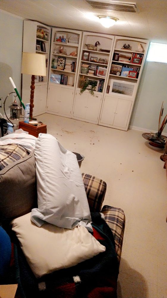 DAS DEEP CLEANING SERVICES Updated August 2024 33 Photos Sandusky